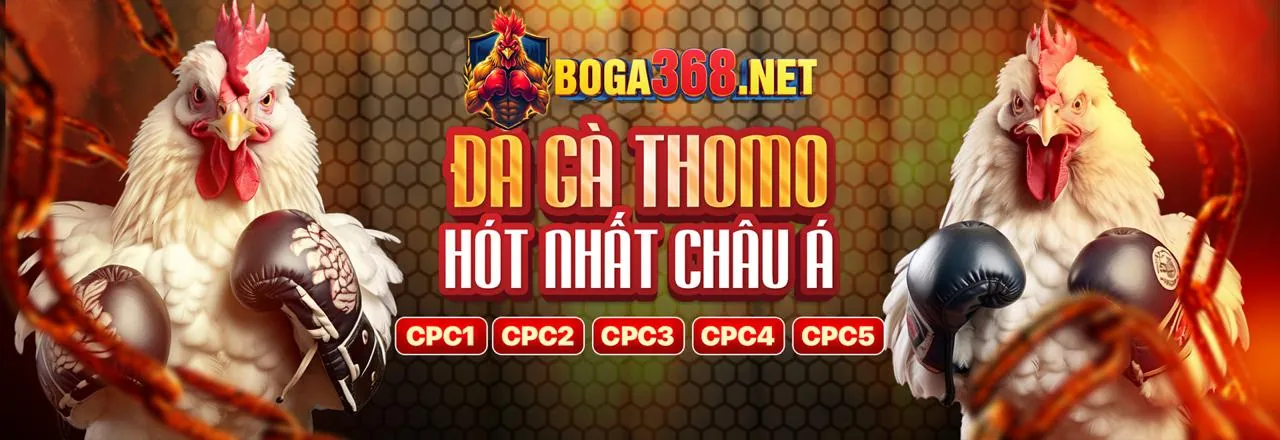 Các loại hình đá gà phổ biến tại hi79 chính thức
